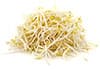 bean sprouts