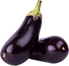 eggplant