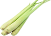 lemongrass stems