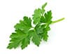 flat leaf parsley