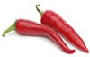 chillies to 3 depending on your taste