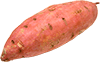 sweet potato