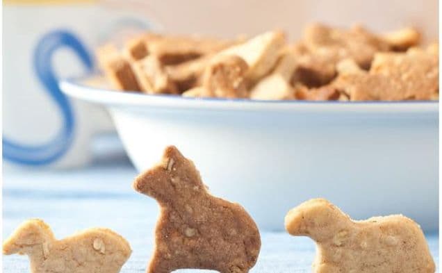 Homemade Animal Crackers