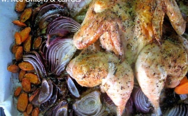 Roasted Butterflied Chicken w. Onions & Carrots